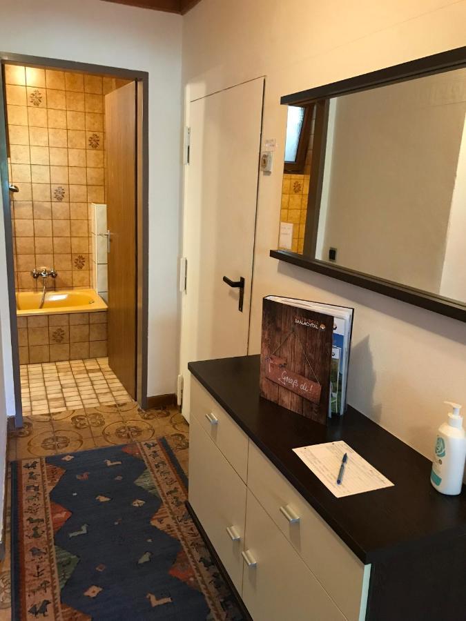 Haus Fernsebner Apartment โลเฟอร์ ภายนอก รูปภาพ